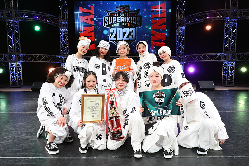 R61P6704のコピー